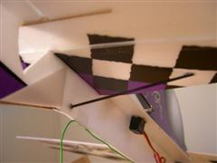 DSCN0049.JPG